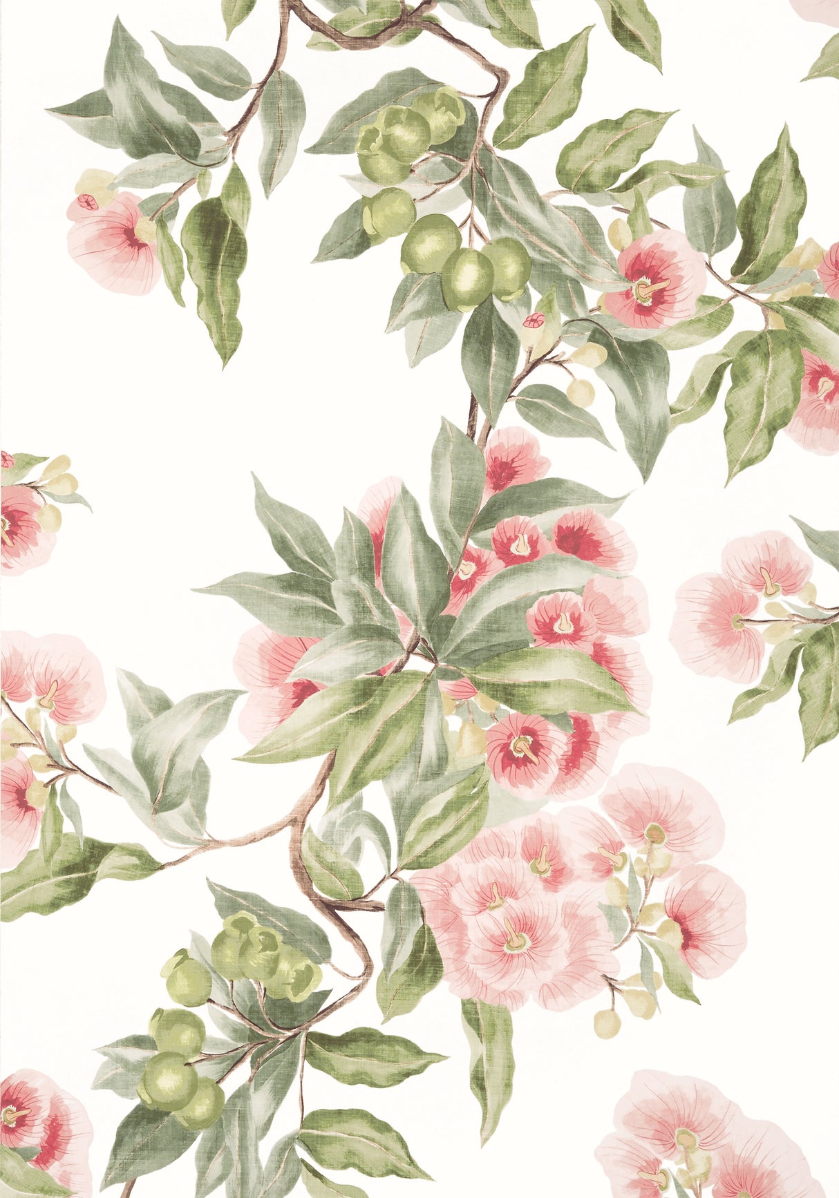 Anna French AT24550 CAMELLIA GARDEN Coral Wallpaper