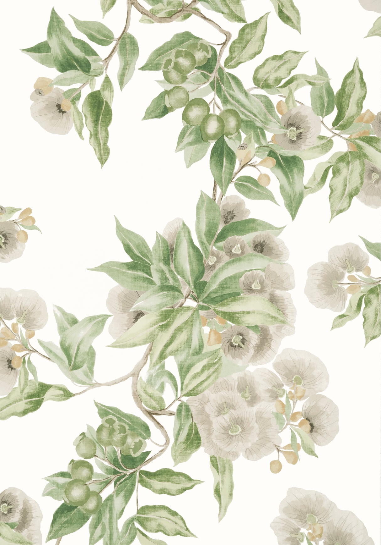 Anna French AT24551 CAMELLIA GARDEN Spring on White Wallpaper