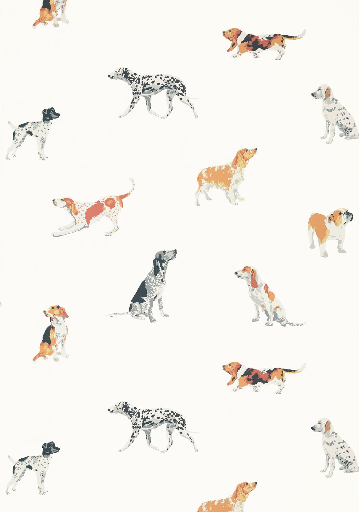 Anna French AT24600 BUDDY Multi Wallpaper