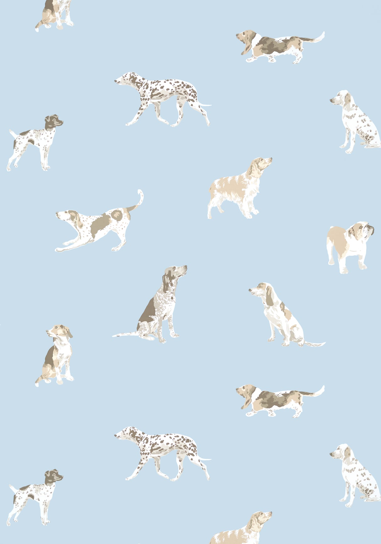 Anna French AT24602 BUDDY Blue Wallpaper