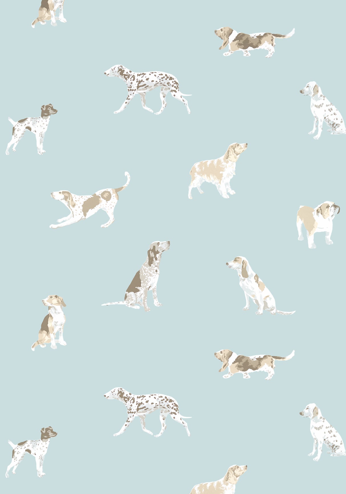 Anna French AT24603 BUDDY Robin's Egg Wallpaper