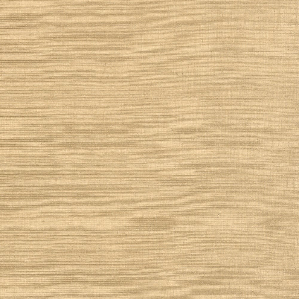 Anna French AT34101 CHOLLA SISAL Sand Wallpaper