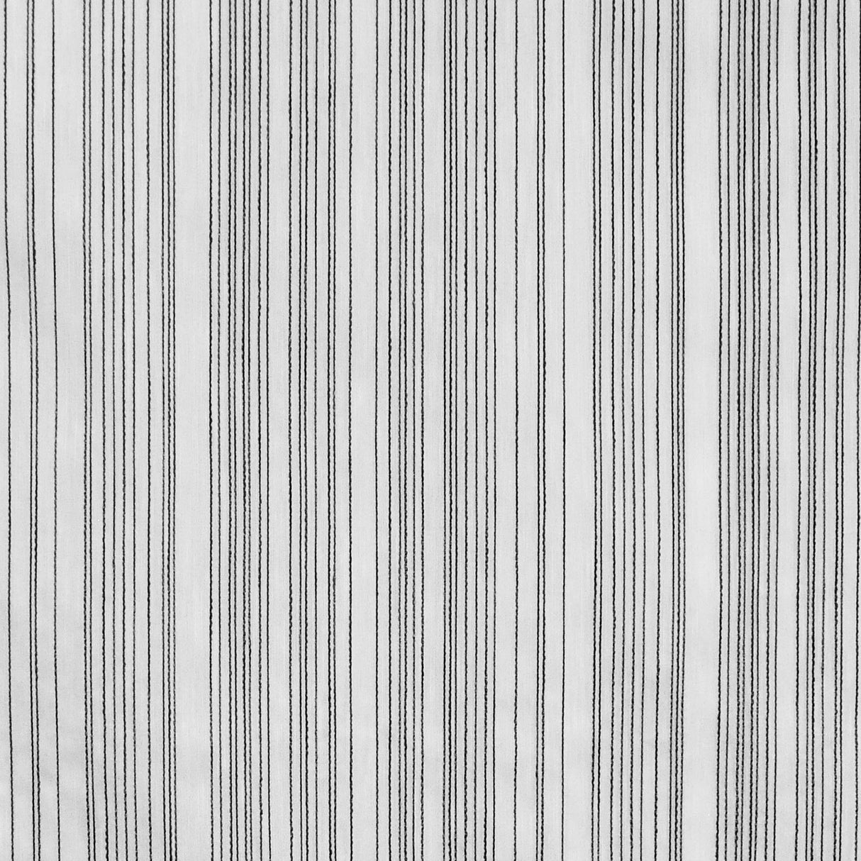 Eade’s # 521 CHICKADEE