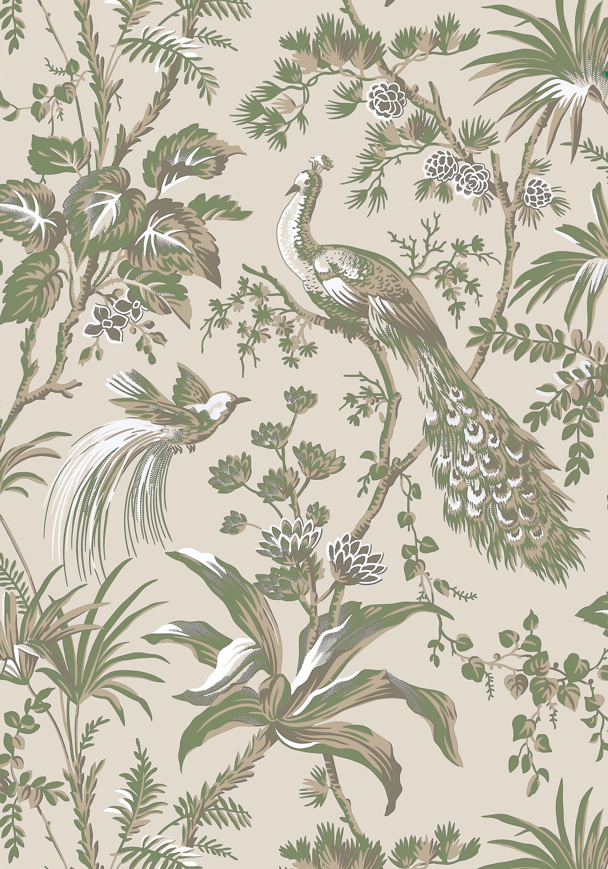 Anna French AT57832 PEACOCK TOILE Green on Natural Wallpaper