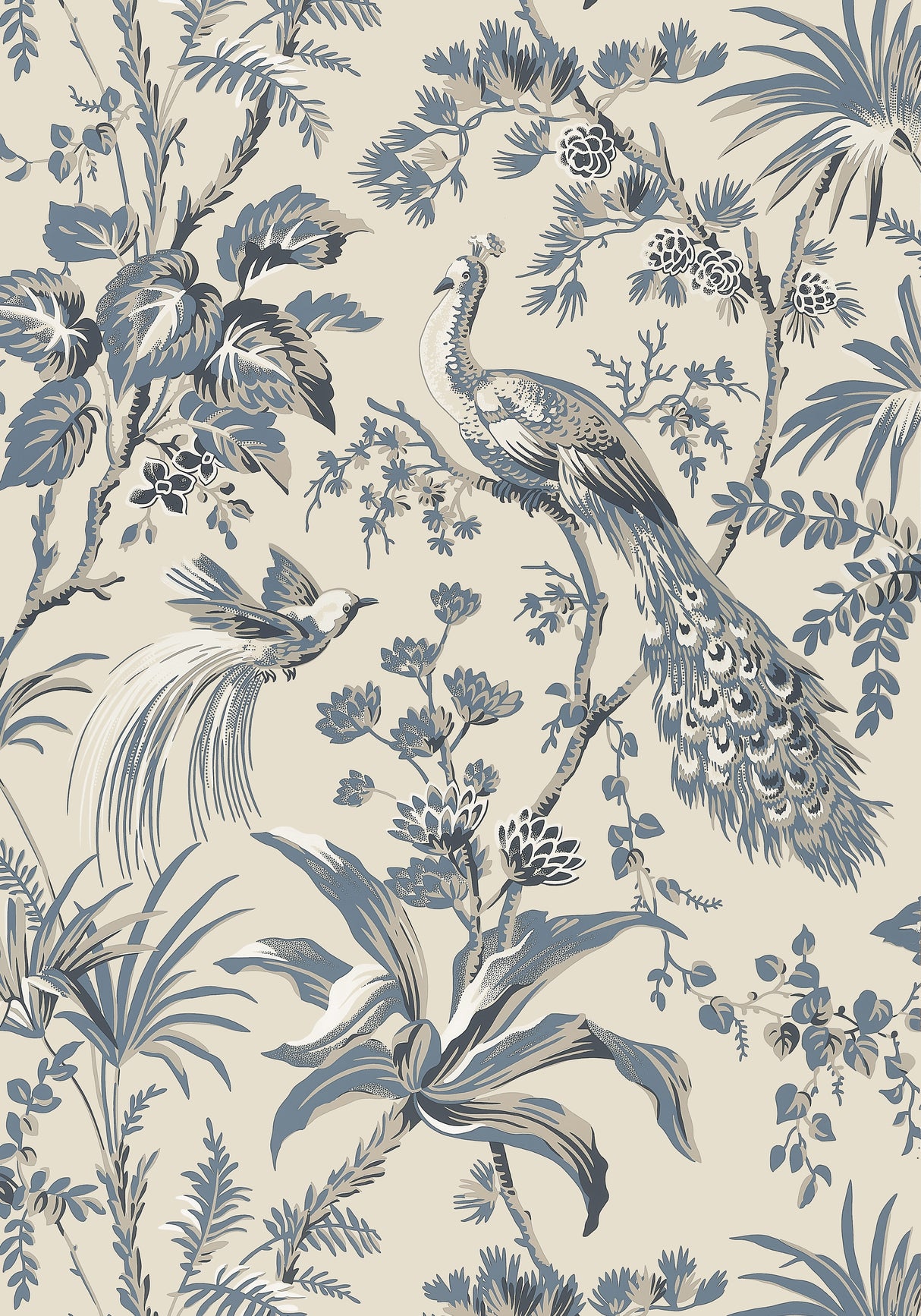 Anna French AT57833 PEACOCK TOILE Slate and Black Wallpaper