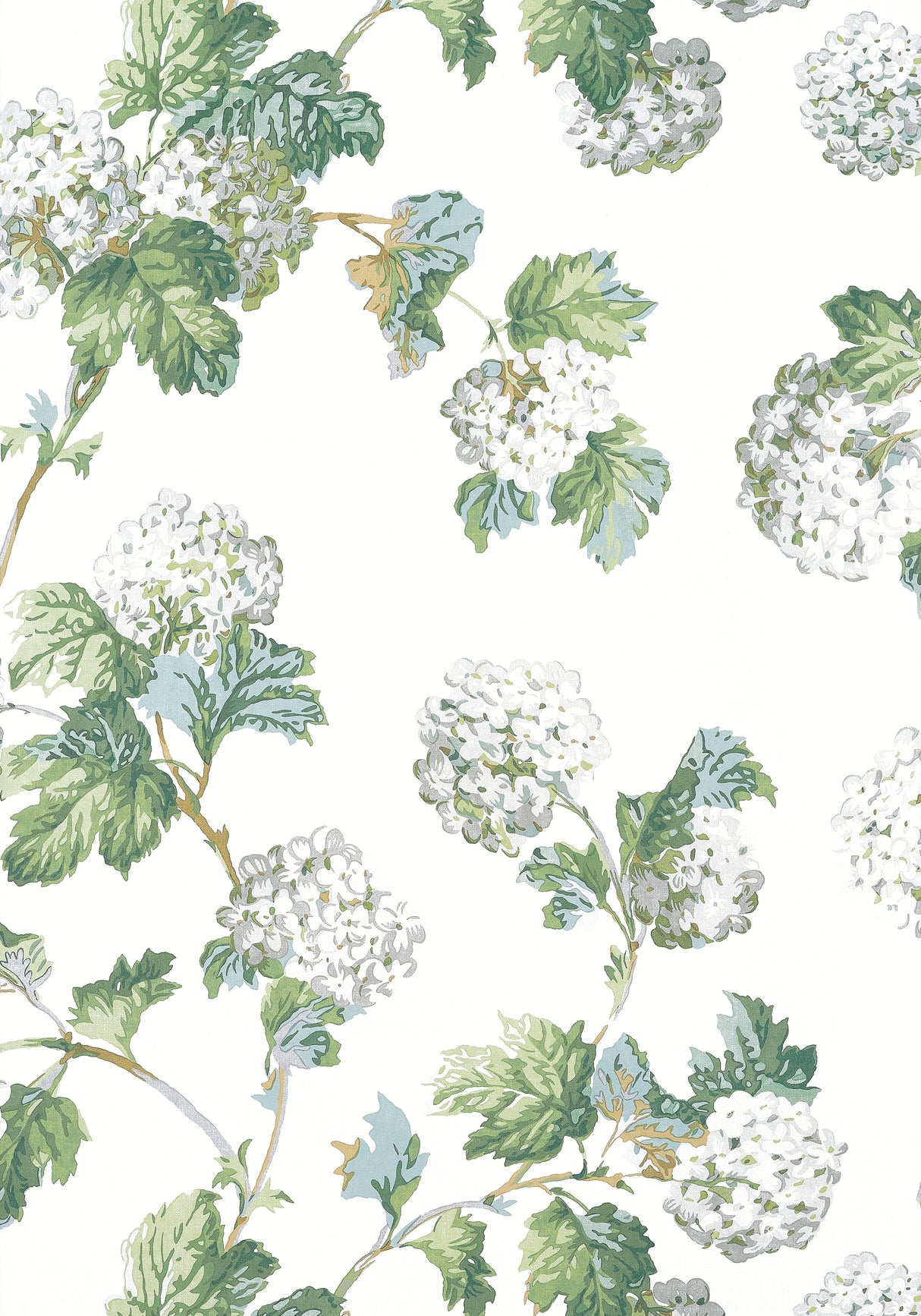 Anna French AT57849 SUSSEX HYDRANGEA White and Green Wallpaper