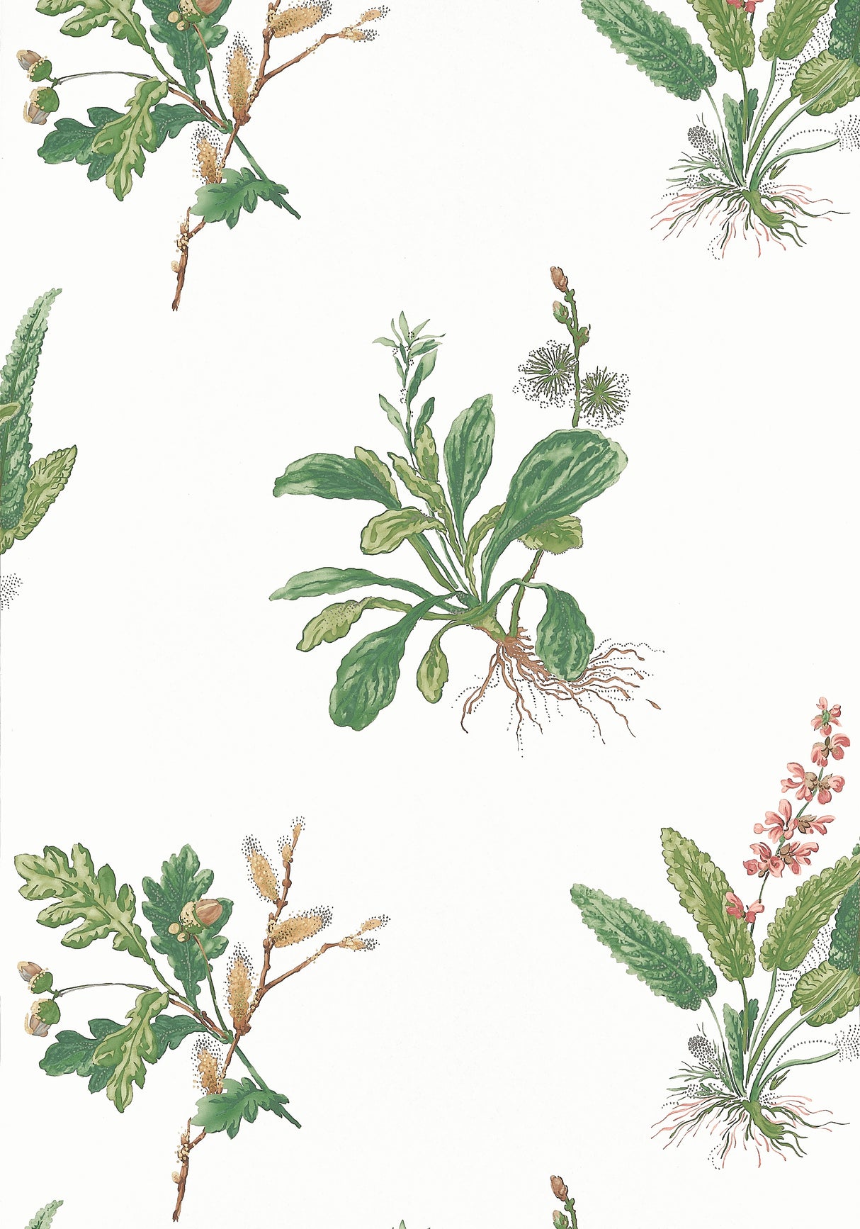 Anna French AT57852 WOODLAND Green and Blush Wallpaper