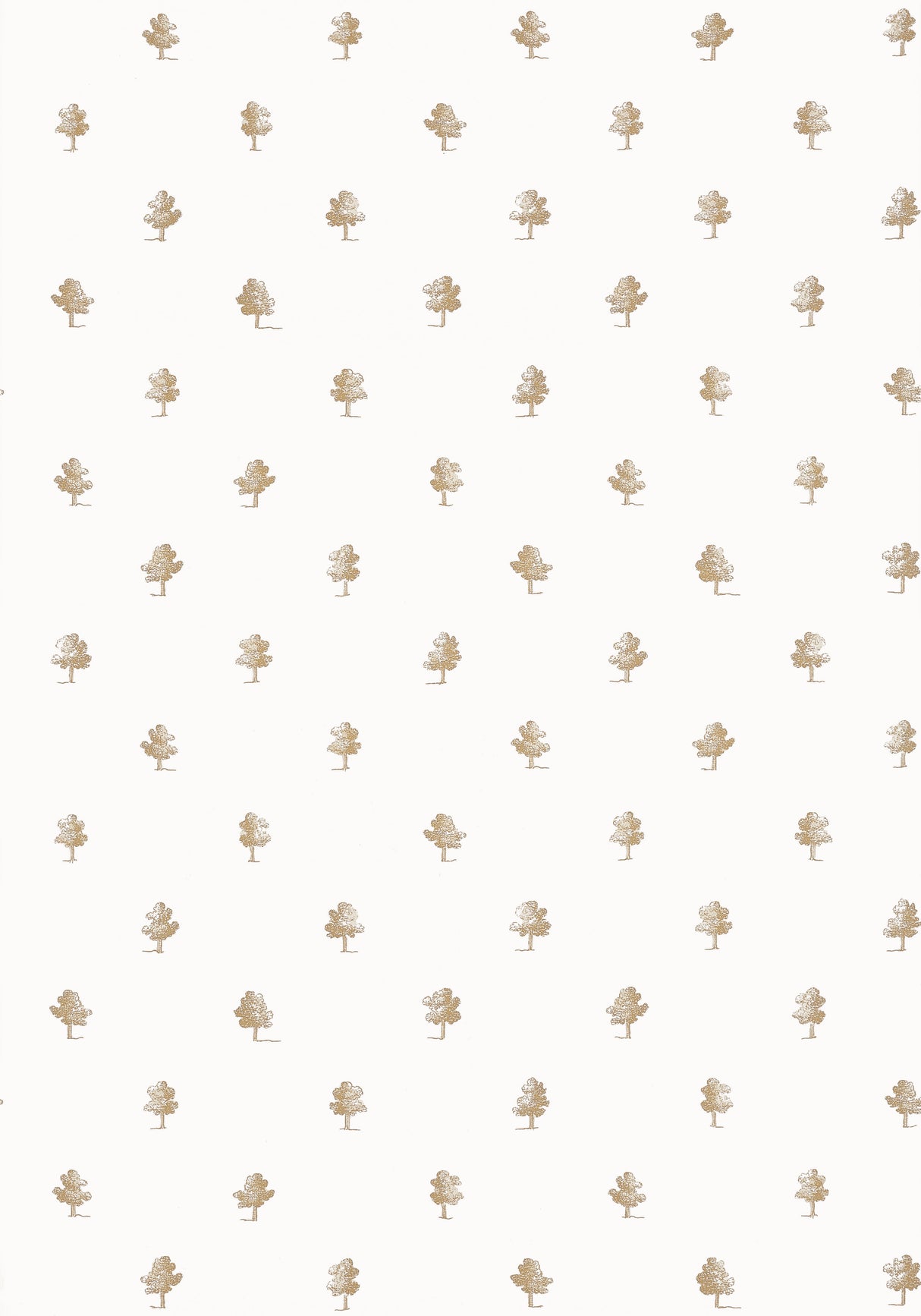 Anna French AT57874 ASHTON Beige Wallpaper