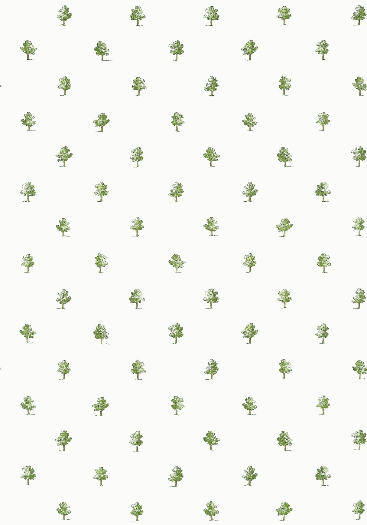 Anna French AT57875 ASHTON Green Wallpaper