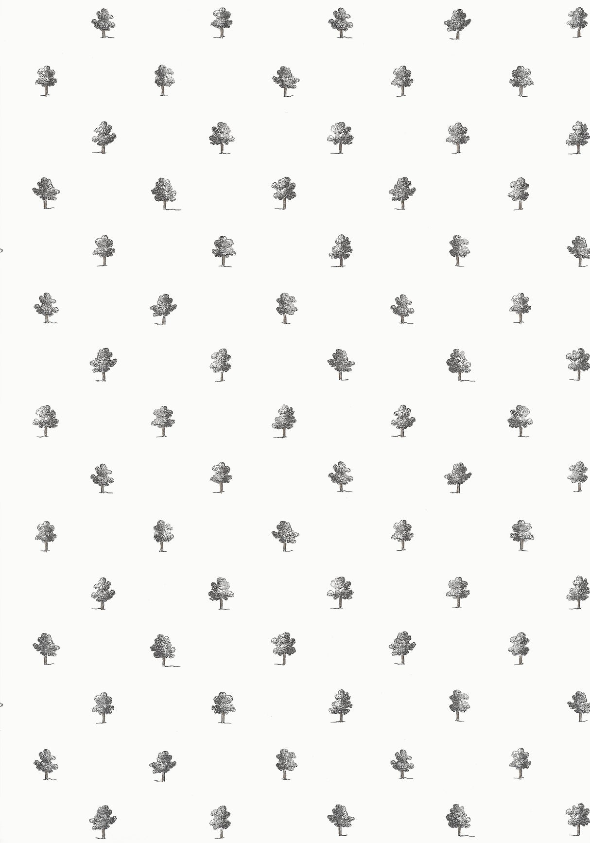 Anna French AT57876 ASHTON Black and White Wallpaper
