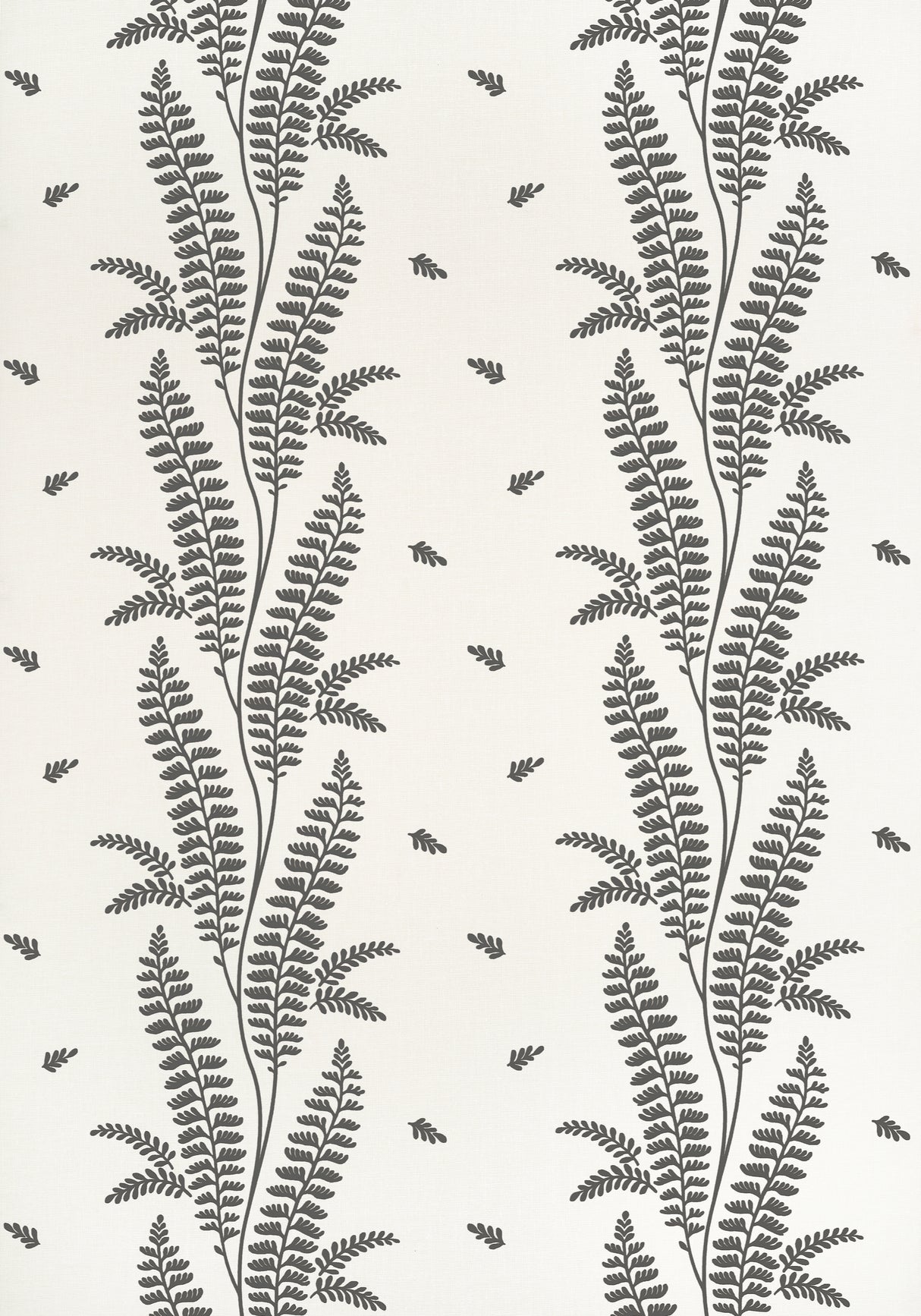 Anna French AT57884 ENSBURY FERN Black Wallpaper