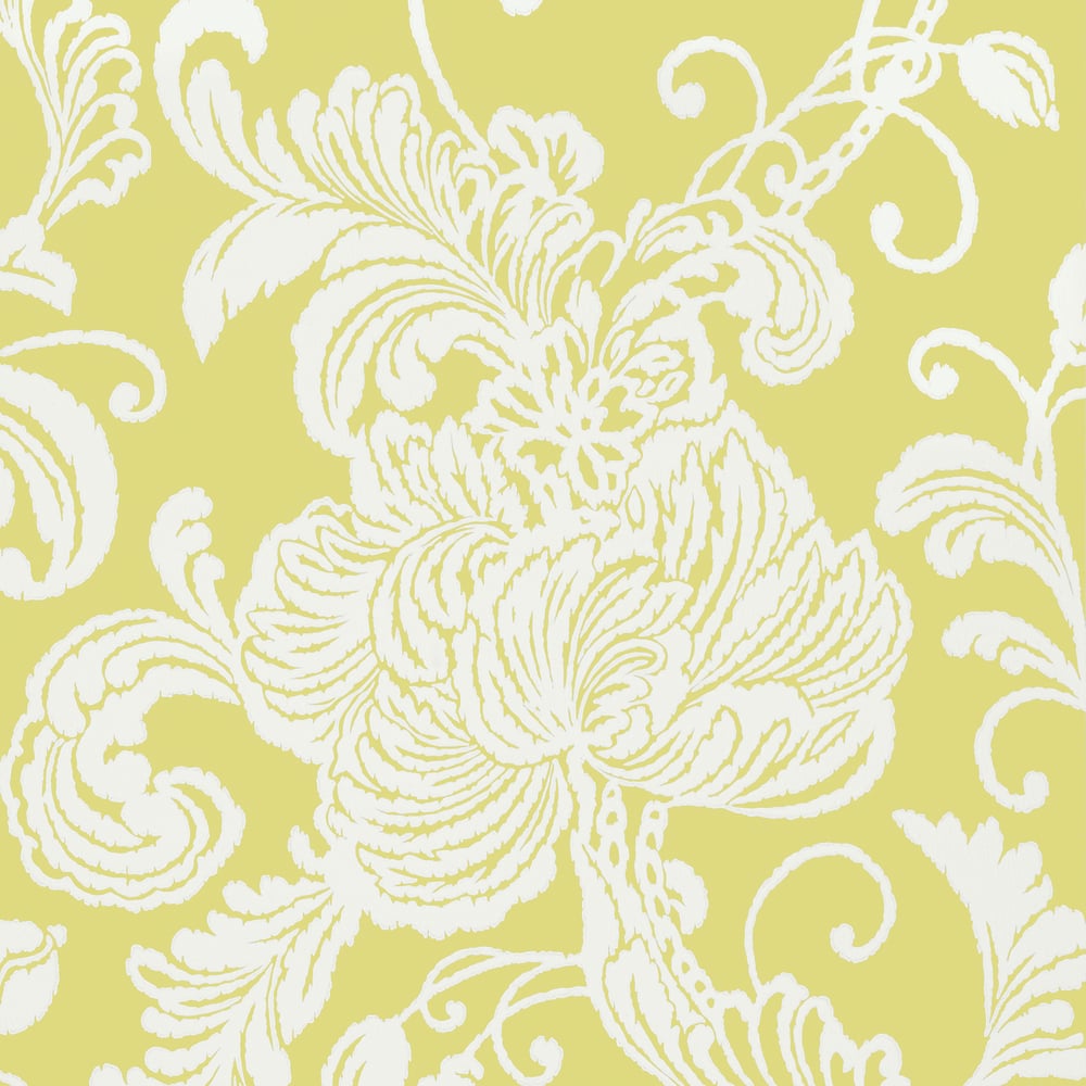 Anna French AT6009 VEREY Citron Wallpaper
