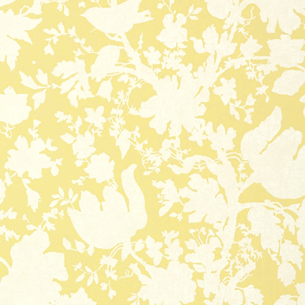 Anna French AT6041 GARDEN SILHOUETTE Citron Wallpaper