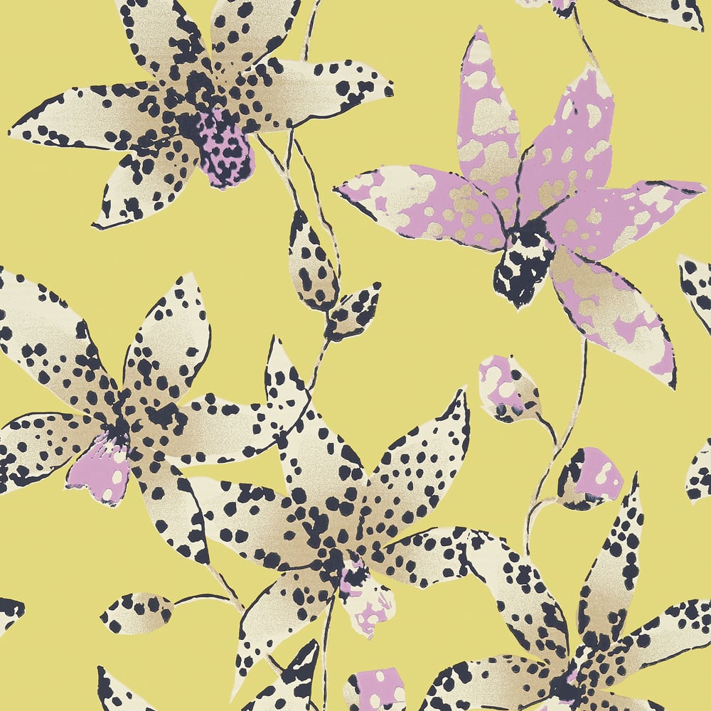 Anna French AT6046 SPOTTED ORCHID Citron Wallpaper