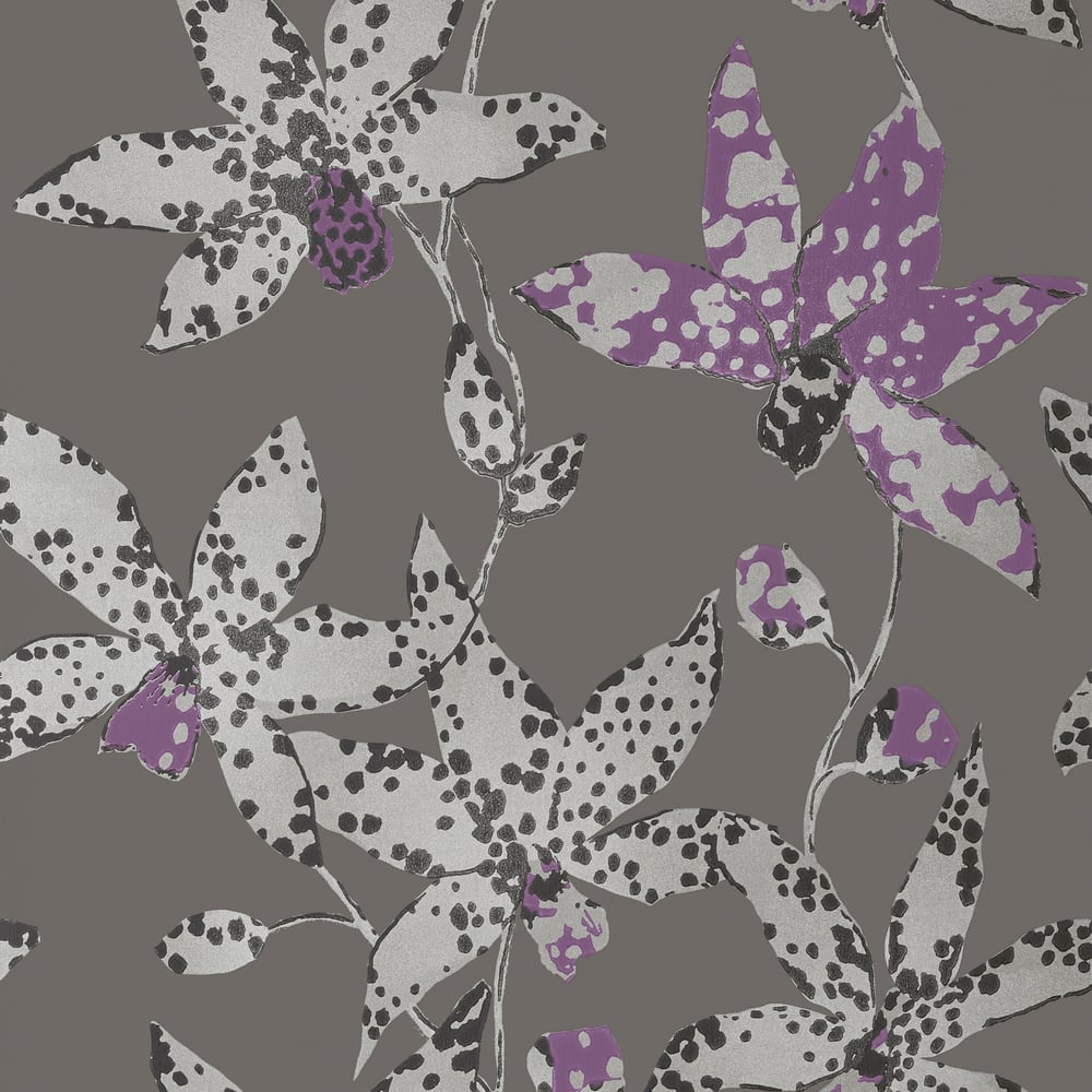 Anna French AT6047 SPOTTED ORCHID Silver on Charcoal Wallpaper