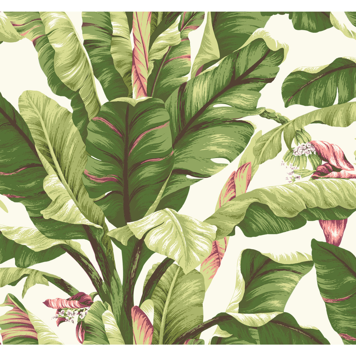 York AT7067 Banana Leaf Dark Brown & Pink Wallpaper