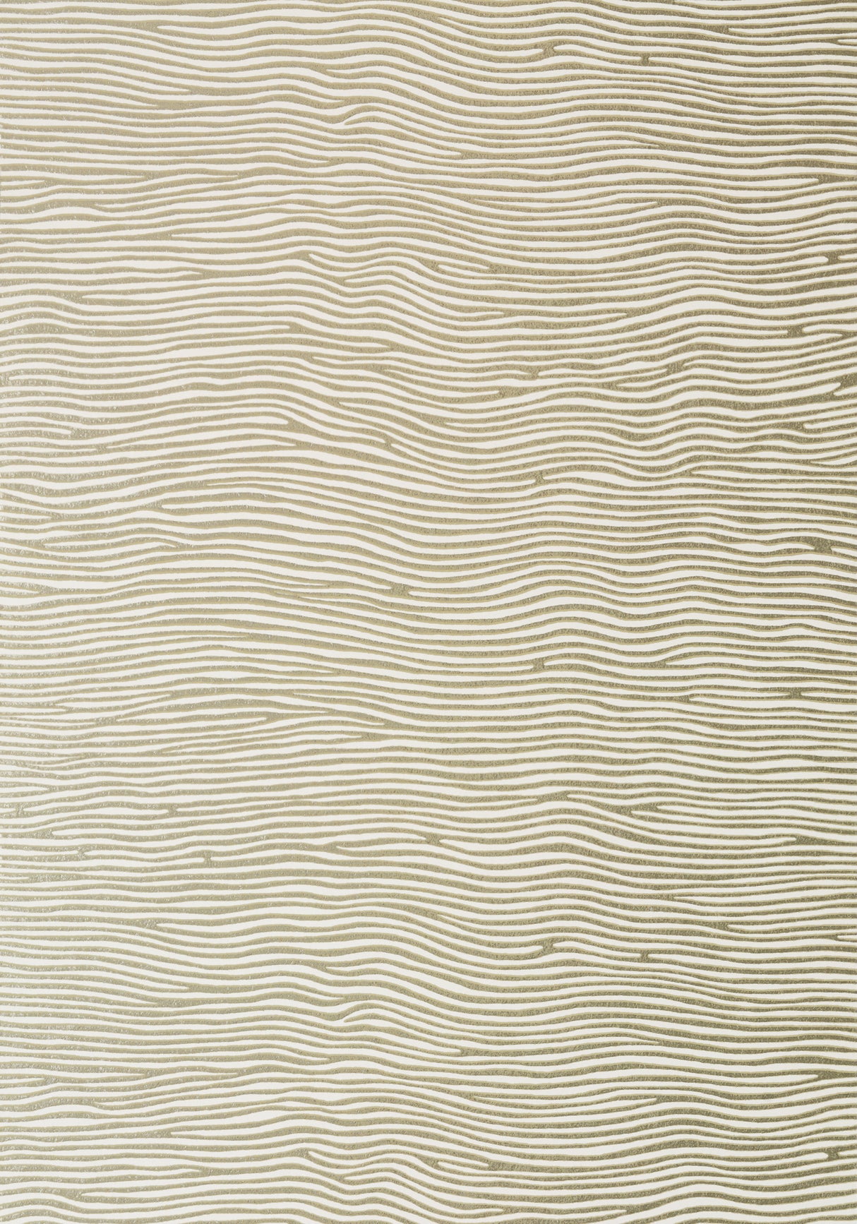 Anna French AT7901 ONDA Metallic Gold on Cream Wallpaper