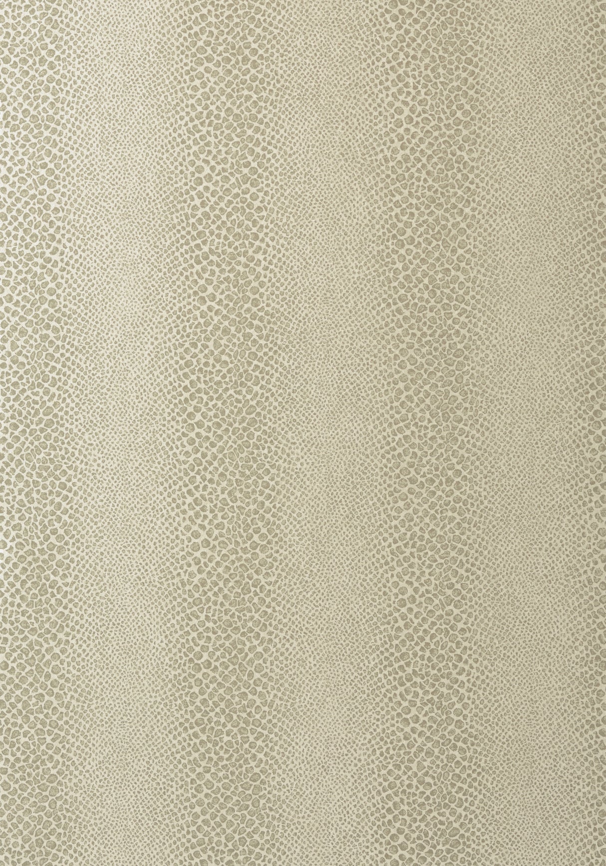 Anna French AT7918 MAMBA Pearl Wallpaper
