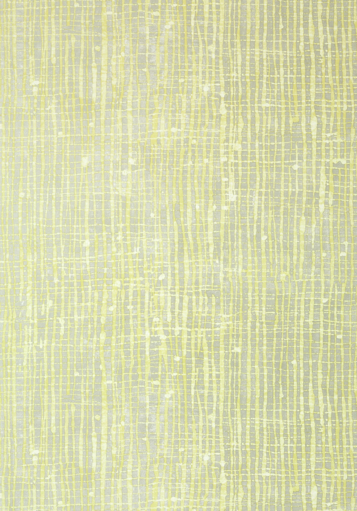 Anna French AT7931 VIOLAGE Citron and Metallic Silver Wallpaper