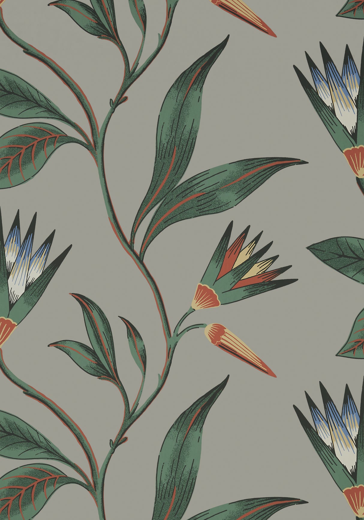 Anna French AT9616 CLEO VINE Charcoal Wallpaper