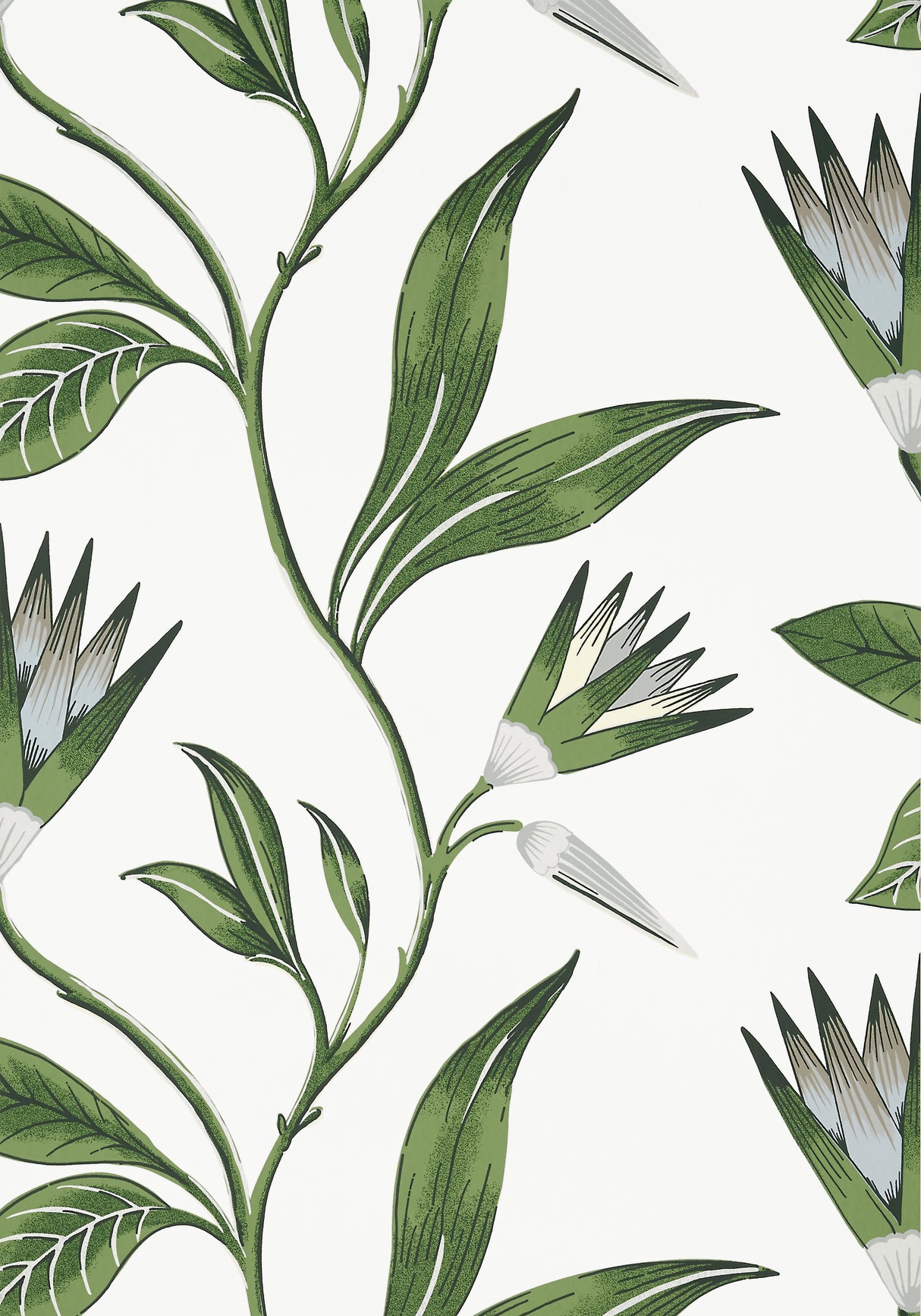 Anna French AT9622 CLEO VINE Green and White Wallpaper