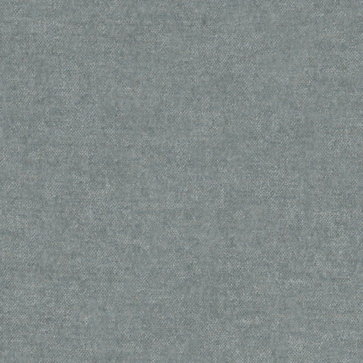 Eade’s # 815 AGAVE