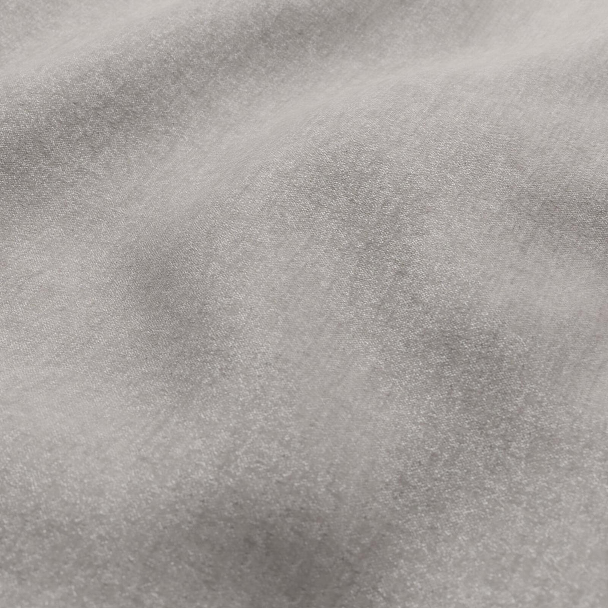 Eade’s # 849 PIGEON