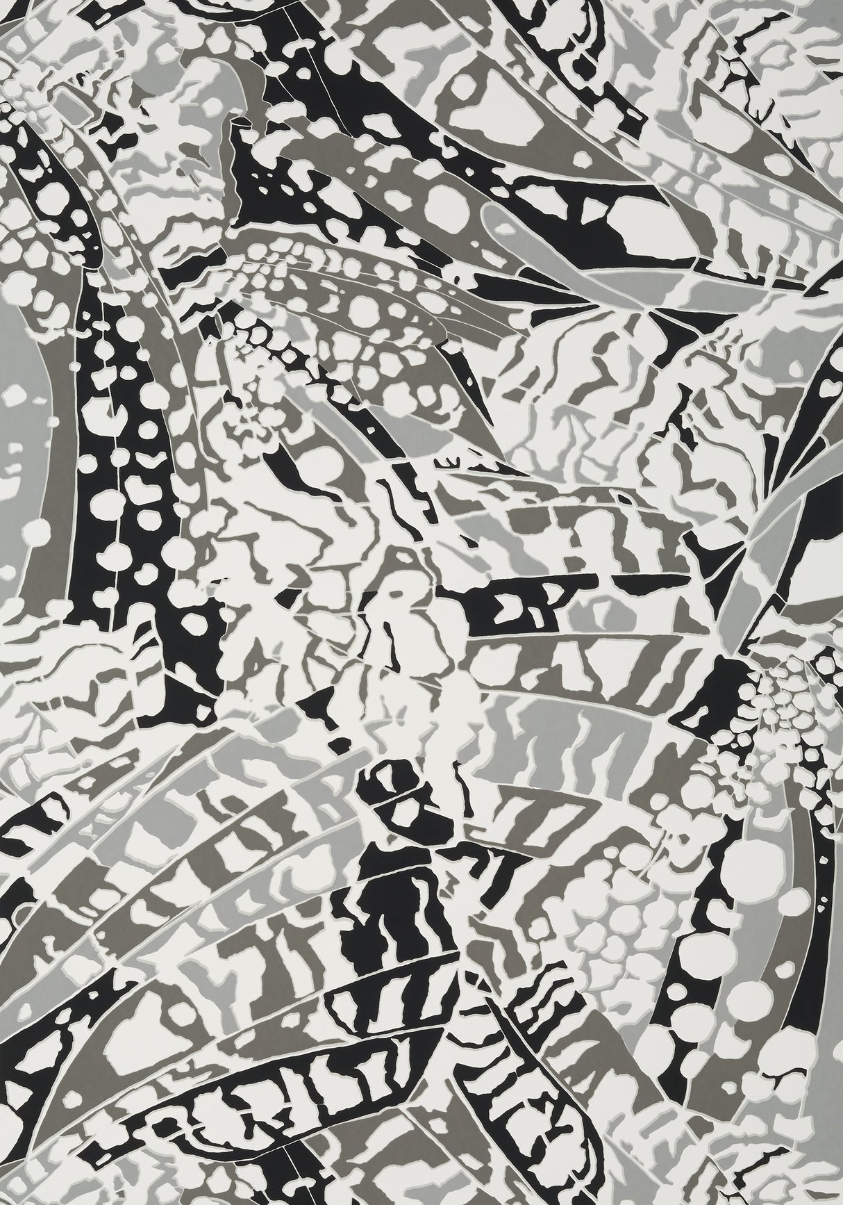 Anna French AT9857 PUCCINI Black Wallpaper