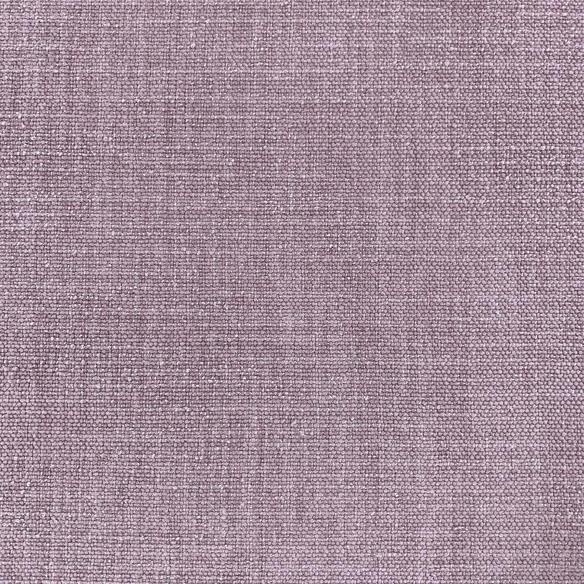 Eade’s AVA WISTERIA WISTERIA