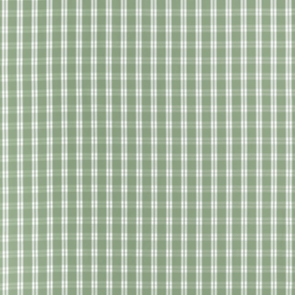 Anna French PAYTON CHECK AW10709 in Green Fabric - CLERMONT