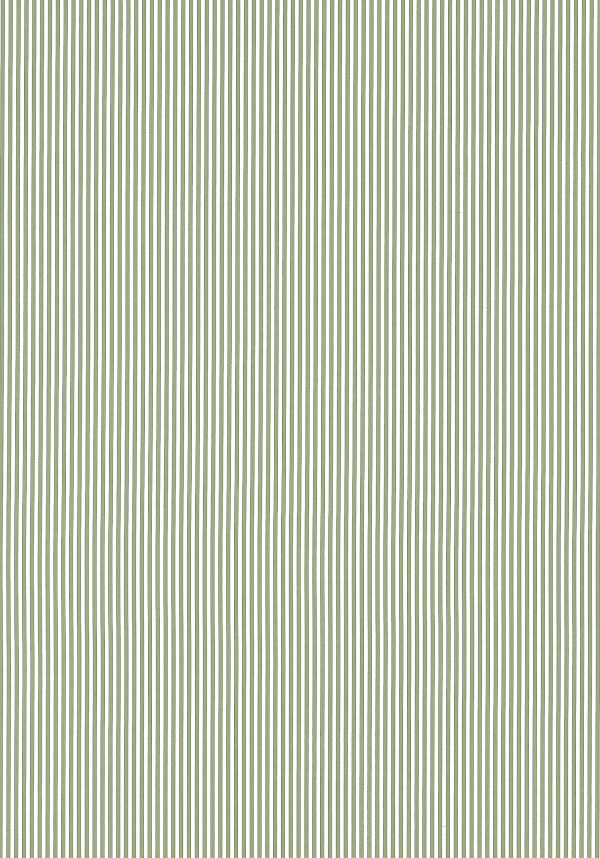 Anna French AW57805 HOLDEN STRIPE Green Fabric