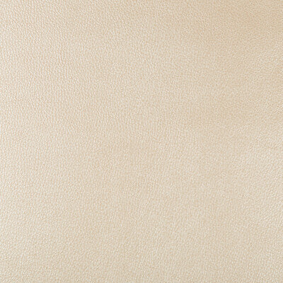 KRAVET DESIGN AZERI.116.0 KRAVET DESIGN AZERI-116 Fabric - Eade's Wallpaper