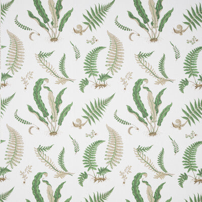 LEE JOFA B0860.01.0 FERNS PRINT SNOW Fabric - Eade's Wallpaper