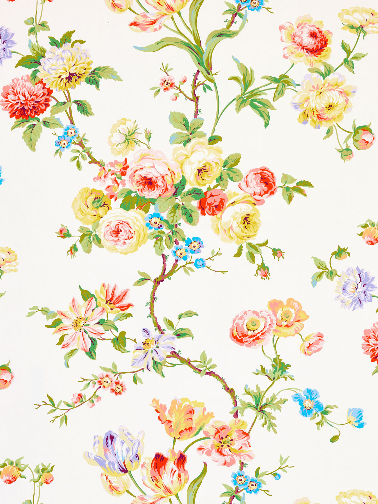Scalamandre B0 00013506 SUMMER MULTI BOTANICAL GARDEN Fabric - Eade's Wallpaper