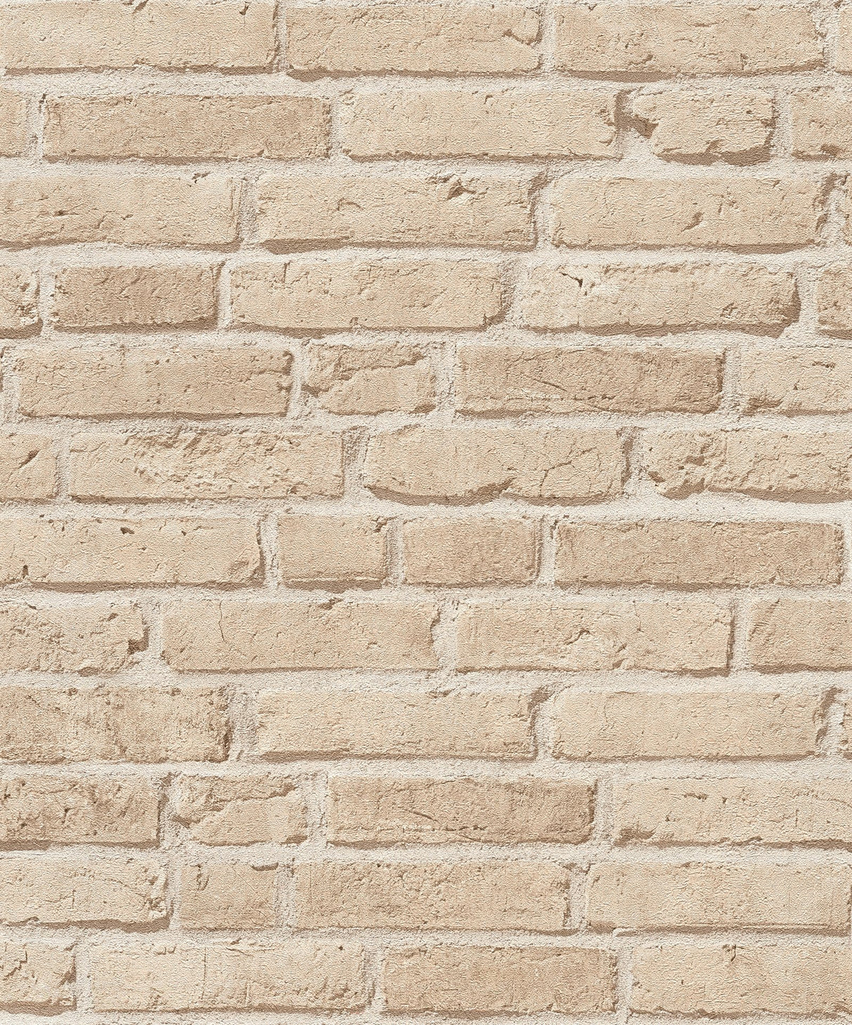 Eade's BB51107-sample Red