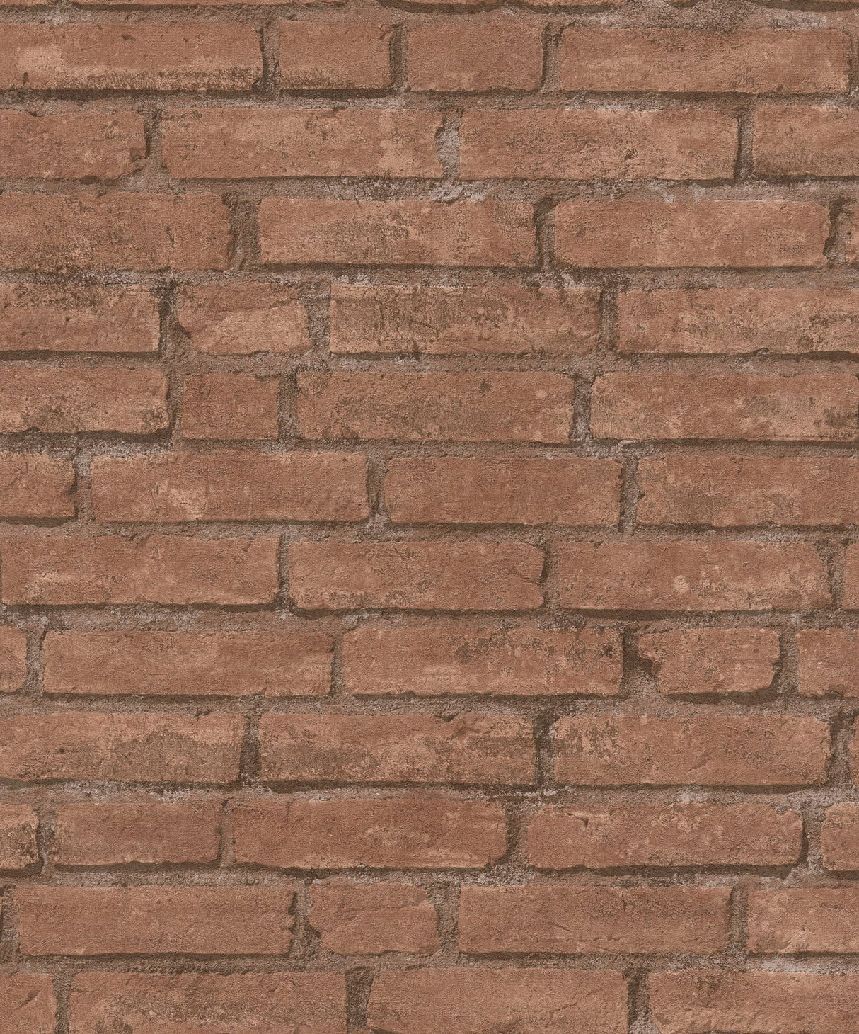 Eade's BB51108-sample Red