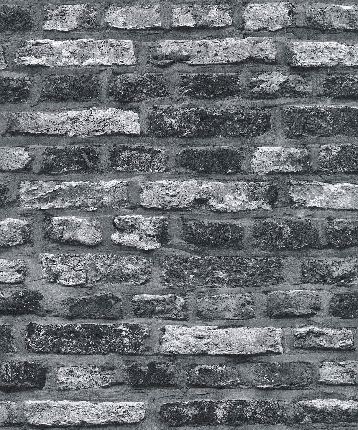 Eade's BB51113-sample Multi-coloured