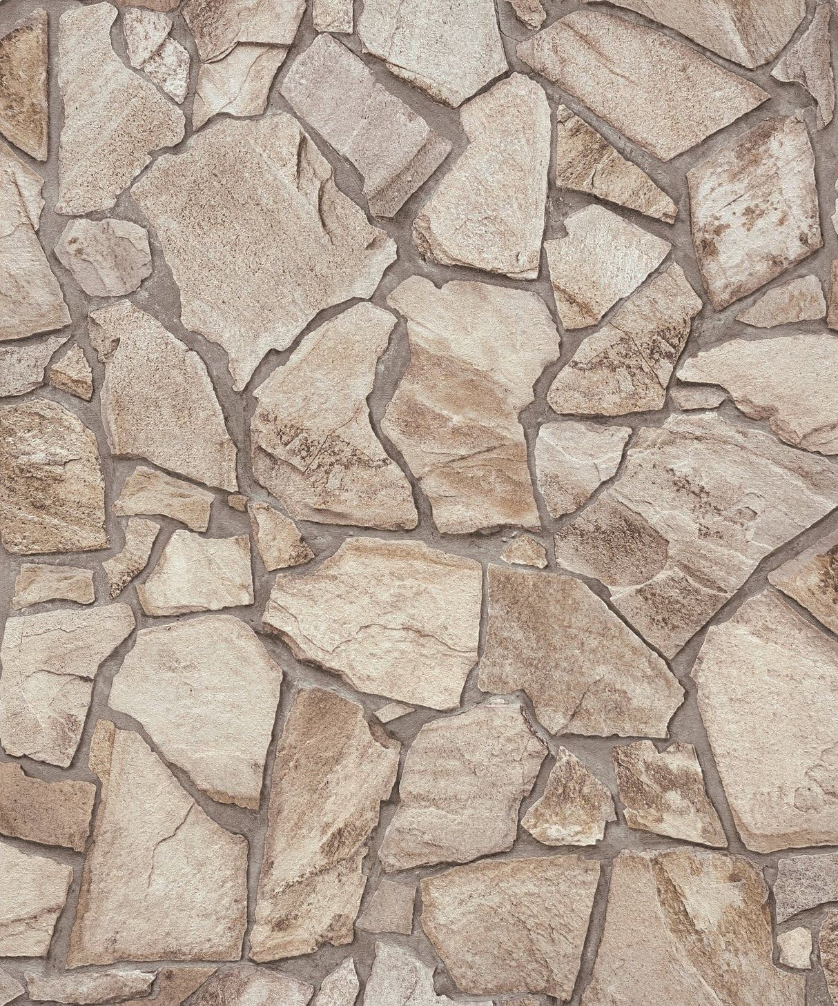 Eade's BB51143-sample Beige