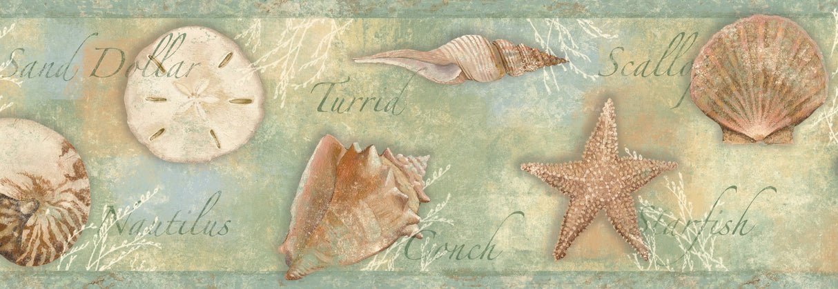 Chesapeake BBC46052B Quinten Green Seashells Toss Border