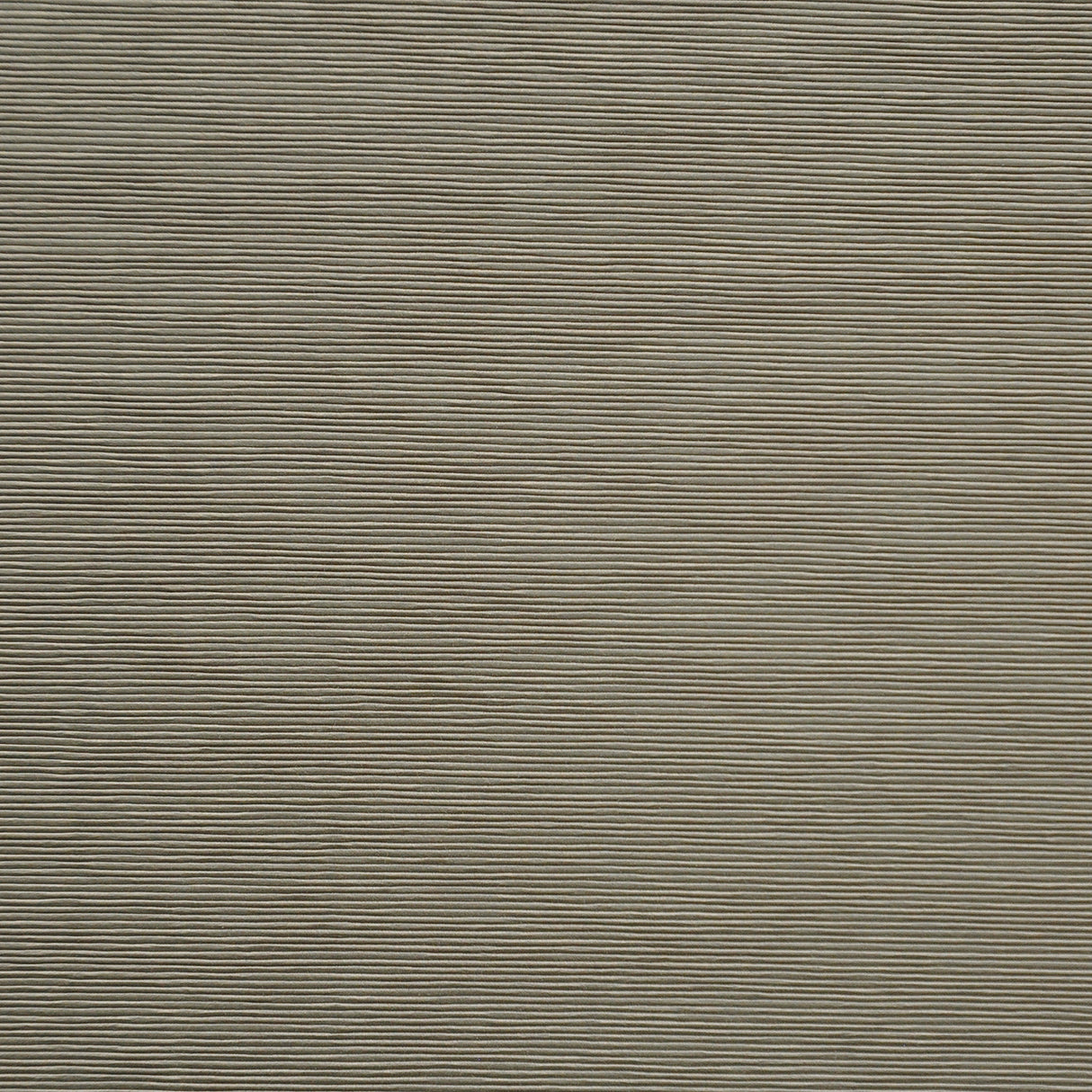 Eade’s # 12 SHADOW