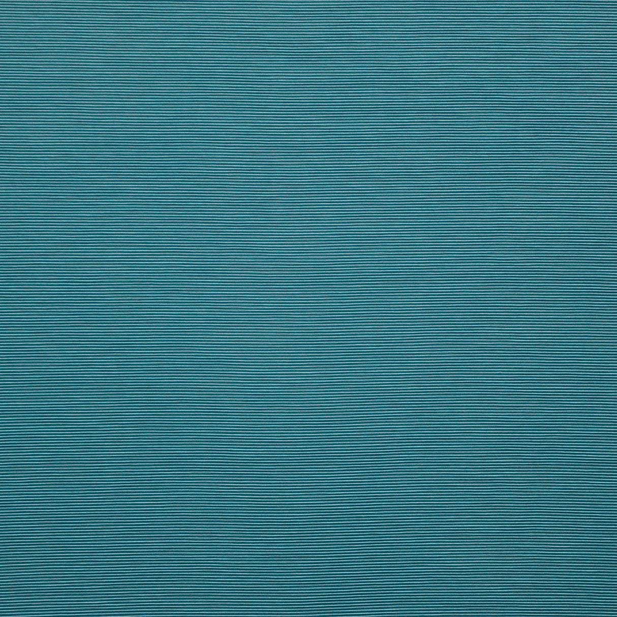 Eade’s # 22 MALDIVE