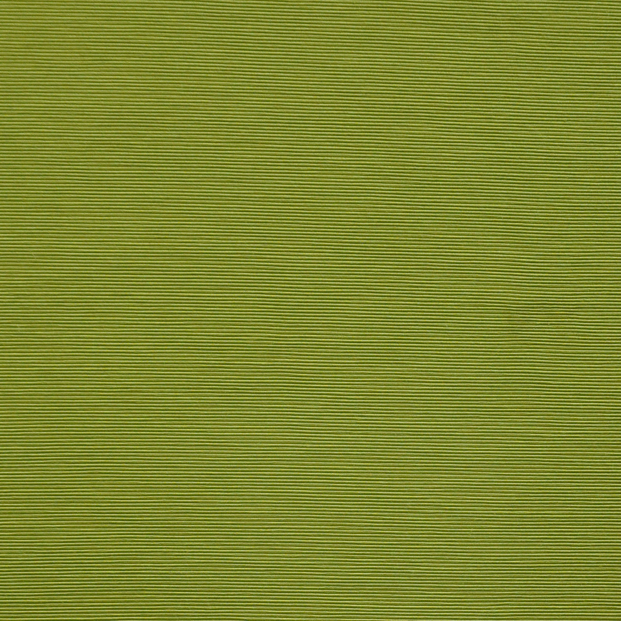 Eade’s # 24 SPROUT