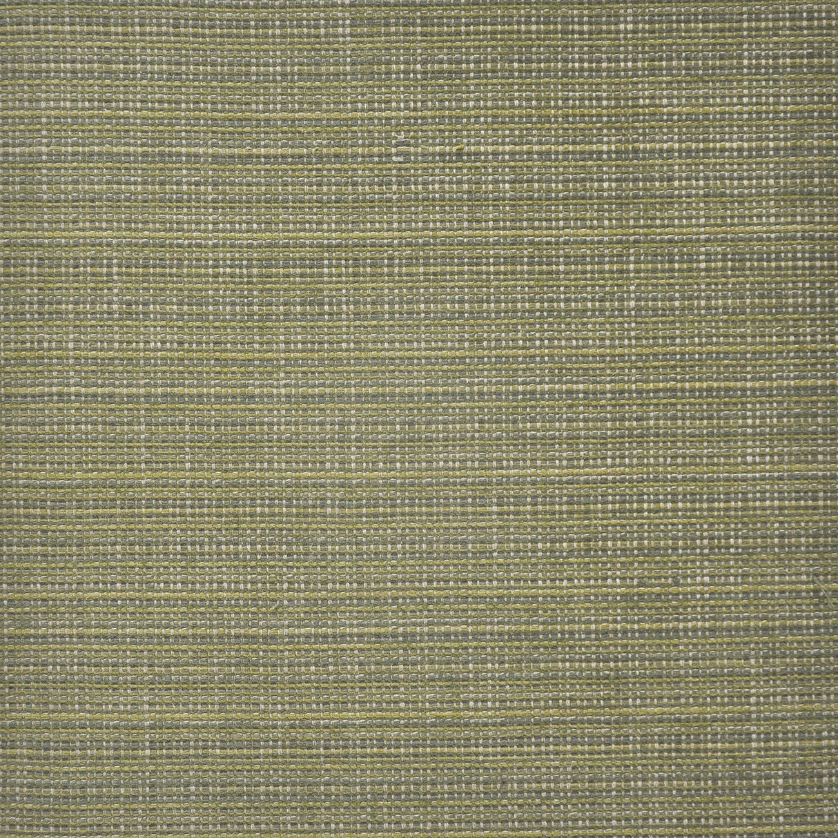 Eade’s # 929 OLIVE