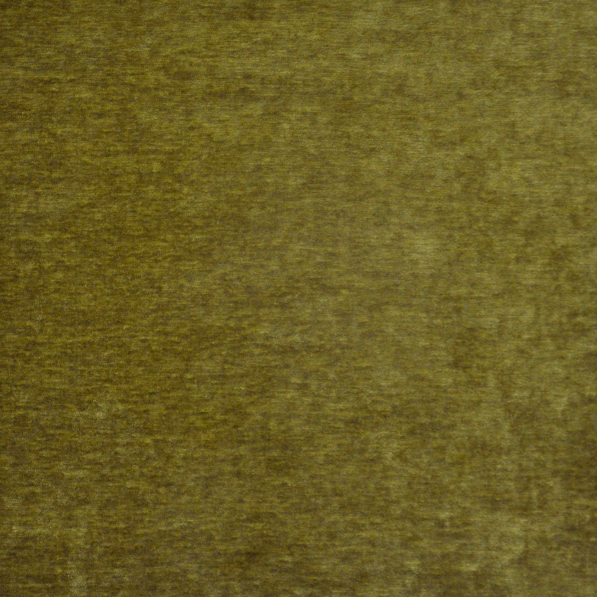 Eade’s # 717 AVOCADO