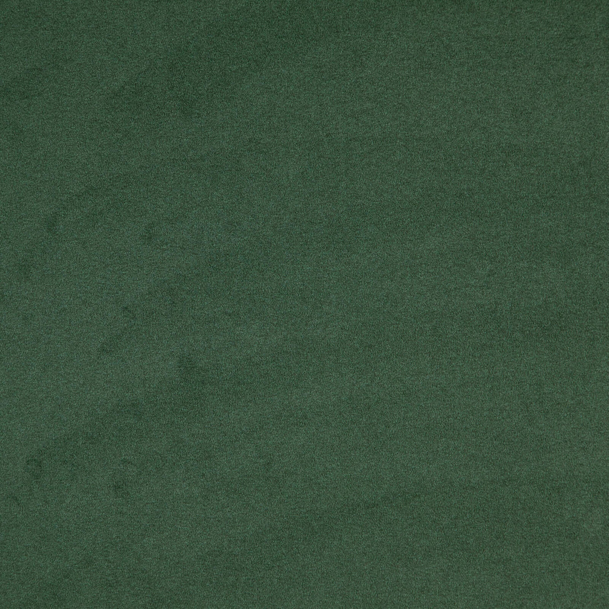 Eade’s # 20 HUNTER