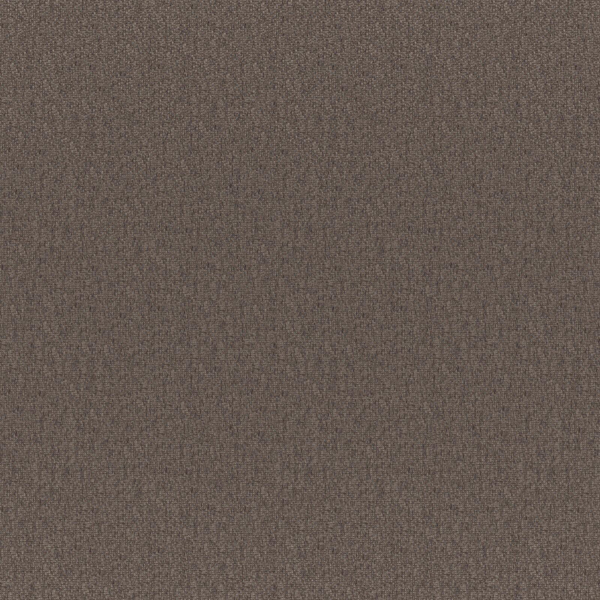 Eade’s # 254 TRUFFLE