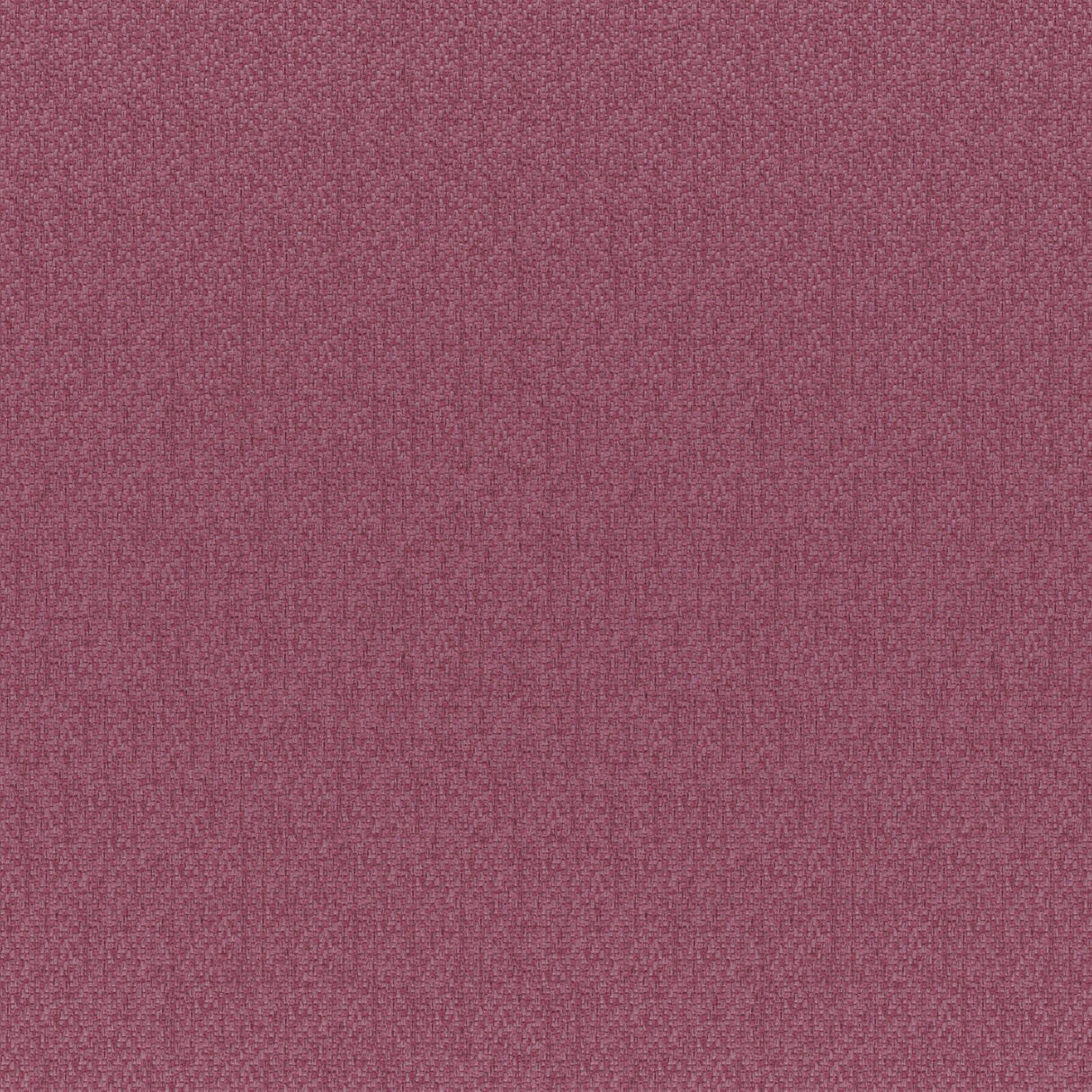 Eade’s # 519 PEONY