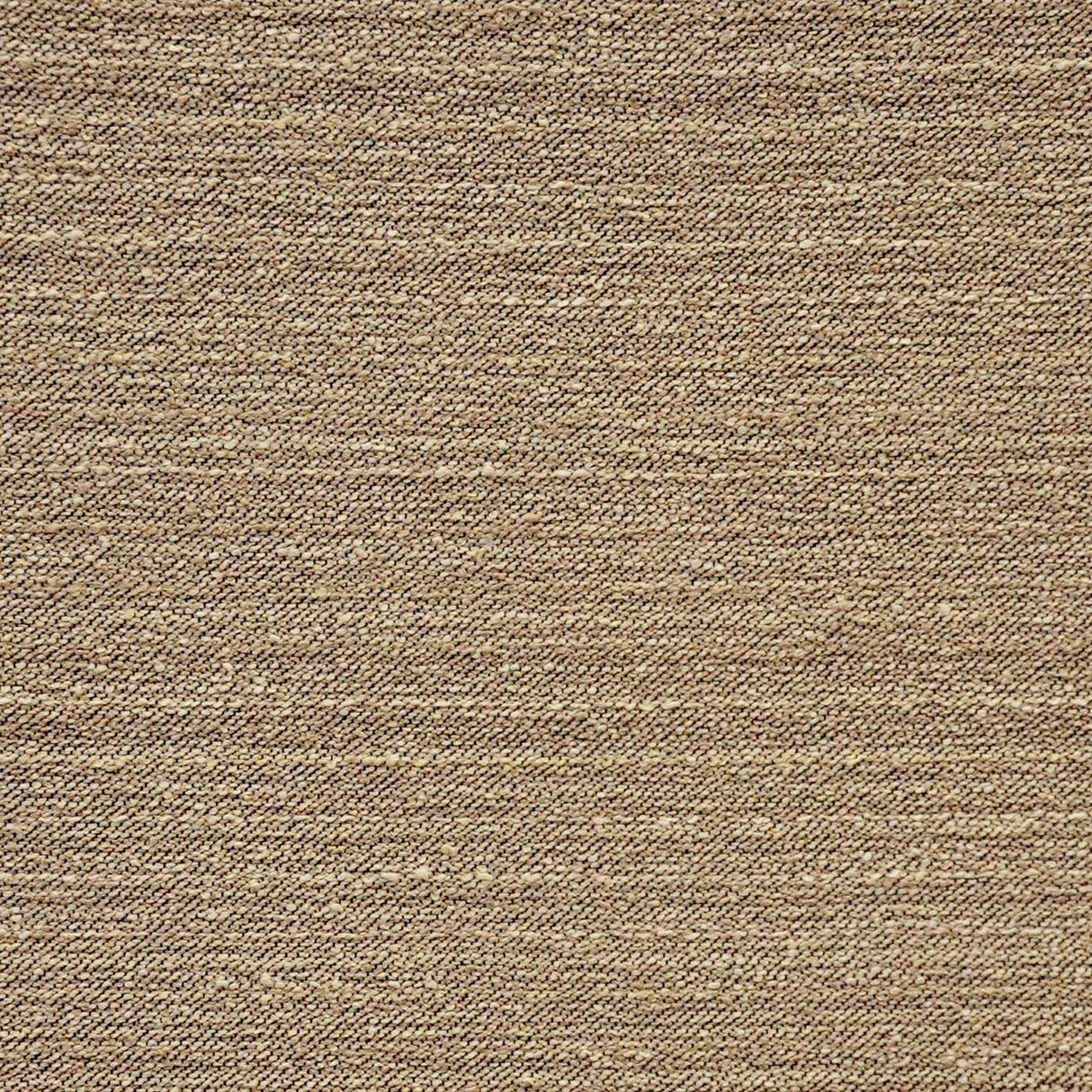 Eade’s # 613 TRAIL