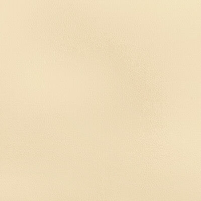 KRAVET DESIGN BEECH.1.0 KRAVET DESIGN BEECH-1 Fabric - FAUX LEATHER IV