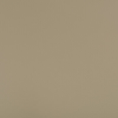 KRAVET DESIGN BEECH.106.0 KRAVET DESIGN BEECH-106 Fabric - FAUX LEATHER IV